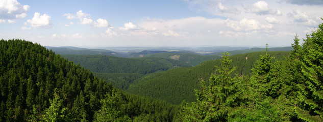 Thüringer Wald © Martina Walther