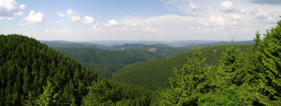 Th&uuml;ringer Wald