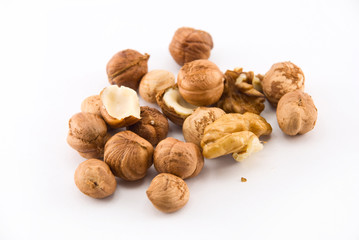 hazelnut  on a white background