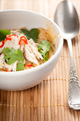 Filled noodle soup with shredded chicken