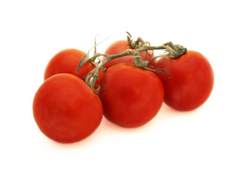 tomatoes