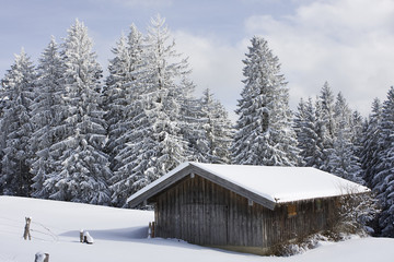 hütte im schnee