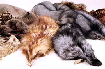 fur