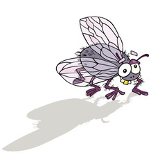 Illustration of funny fly insect