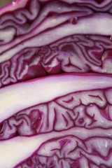 Obraz premium Red cabbage