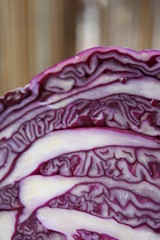 Obraz premium Red cabbage
