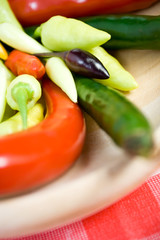 colorful chili - diversity