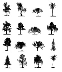 Fototapeta premium Set of trees