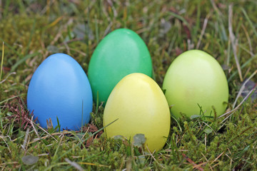 Bunte Eier