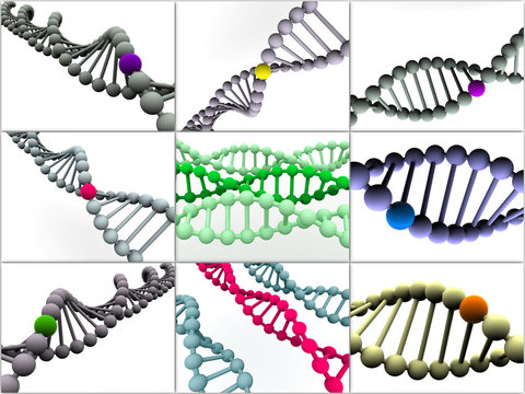 gene in DNA