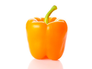 Orange paprica
