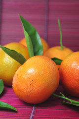 Mandarines fraîcheur