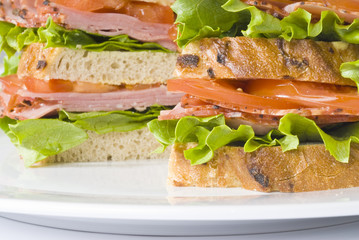 Pastrami Sandwich Closeup