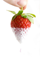 hand and dipped strawberry