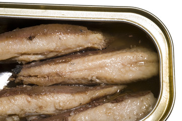sardines skinless boneless fillet  in tin olive oil isolated