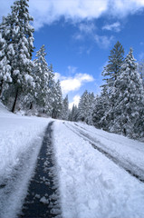 Snowy Mountain Road