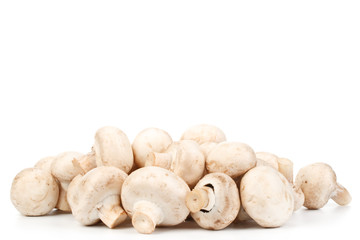 Fresh mushrooms
