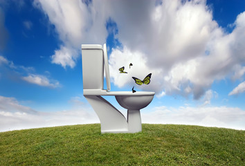 mariposas y baño © juanjo