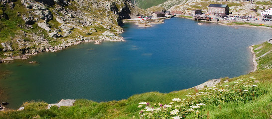 Fototapeta premium Gran san Bernardo