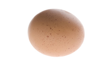 Yellow egg