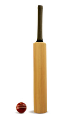 cricket bat and ball - 12456868