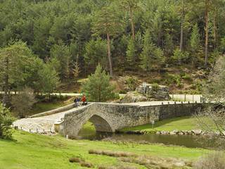 Puente de piedra sobre el Duero