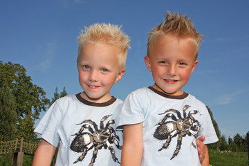 Zwillinge, Jungen auf dem Spielplatz
