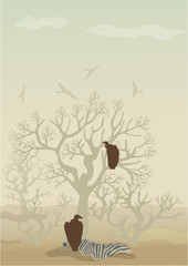 Vector illustration, desert with trees and vultures