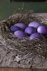 Violette Ostereier im Silber Nest