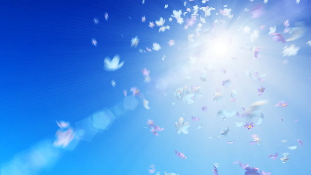 3D flower twister in the sun