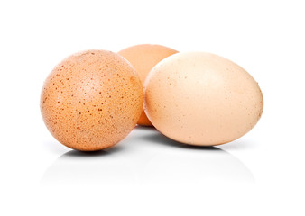 eggs