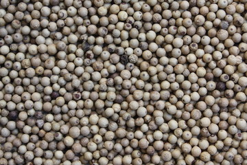 White peppercorn