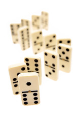 Dominoes standing on white background