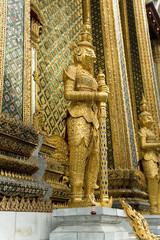 Guardian of the temple © Guy Shapira