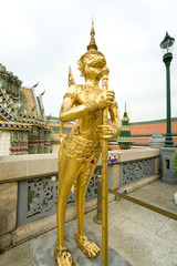 Guardian of the temple © Guy Shapira