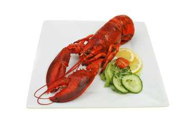 Lobster on plate