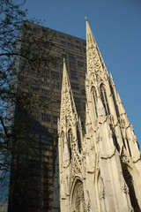 cathedrale saint patrick