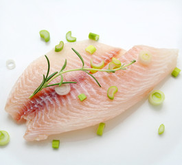 tilapia