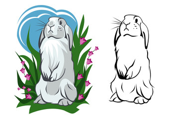 White bunny standing
