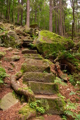 Alte Treppe