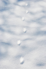 Footprints