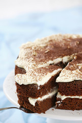 chocolate  cake with white cream