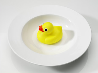 kaczka 22 © szelest