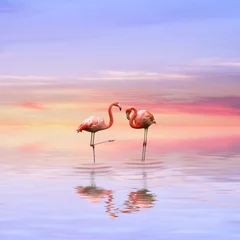 Gordijnen Flamingos love © Oxa