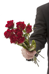 man hand holding rose bouquet on white background