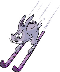 rabbit sliding on ski