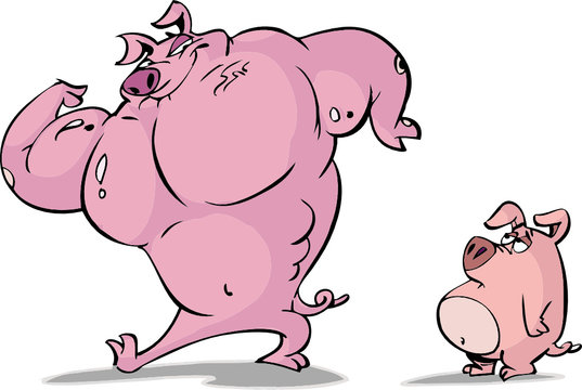 bodybuilder pig