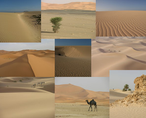 pêle-mêle de photos de dunes et déserts