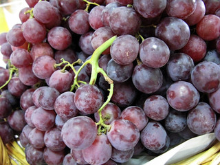 Fototapeta premium Uvas Pretas