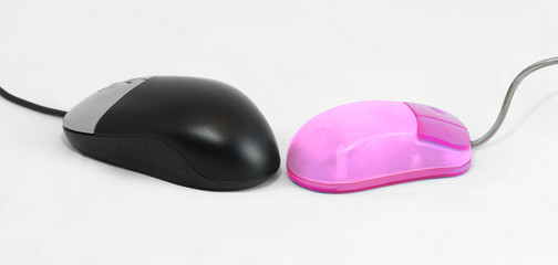miss and mister mouse